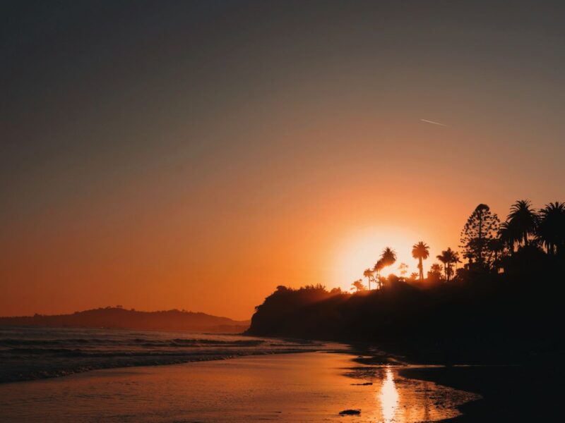 Santa Barbara sunset with palm trees