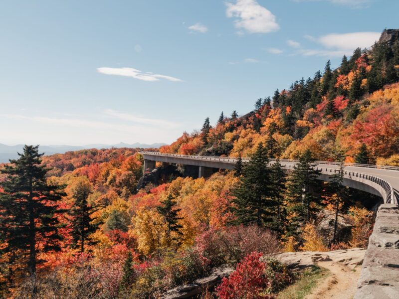 Blue Ridge Parkway